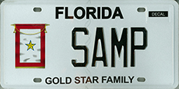 Gold Star Family Plate